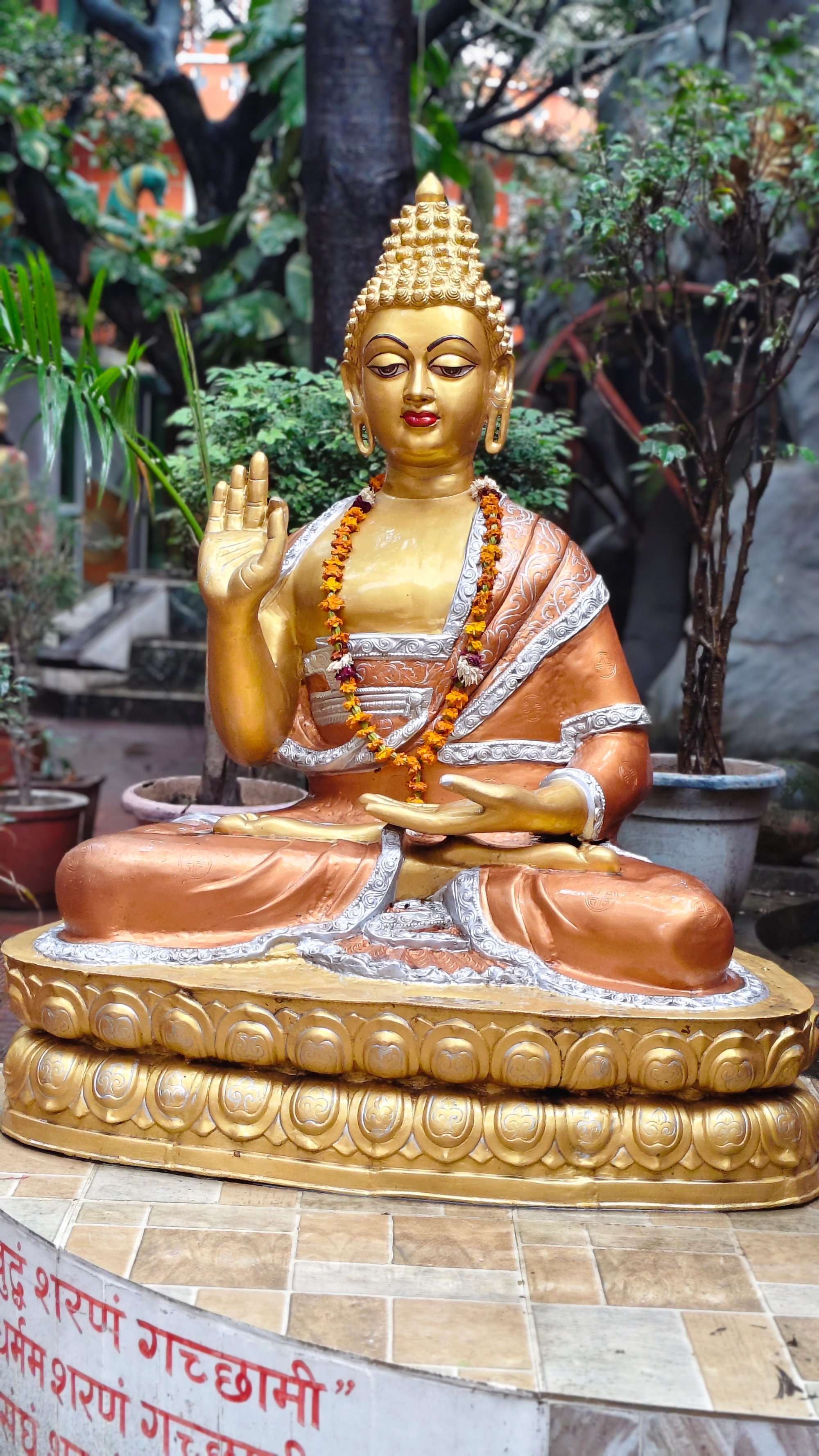 Raj D.'s gallery