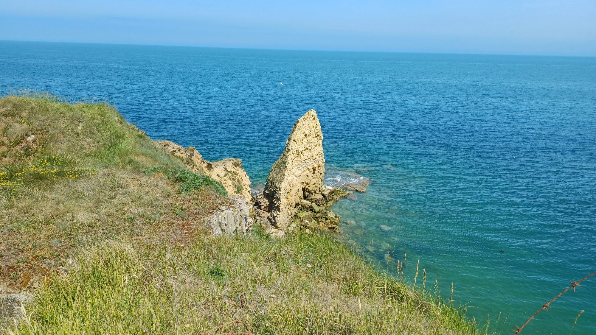Cover media image