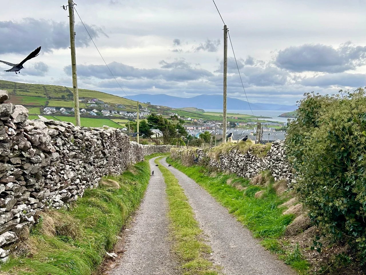 Cover media image