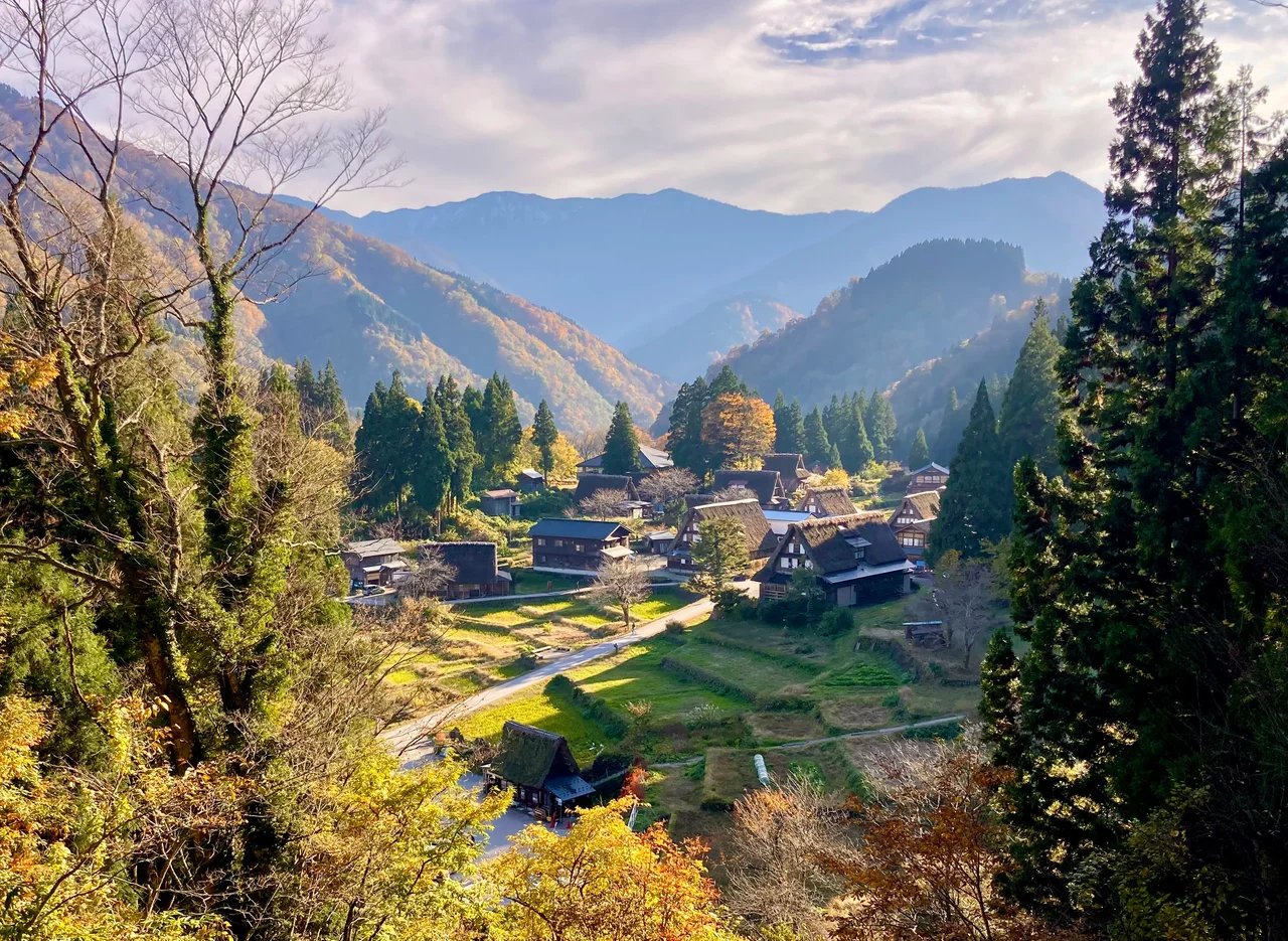 Cover media image
