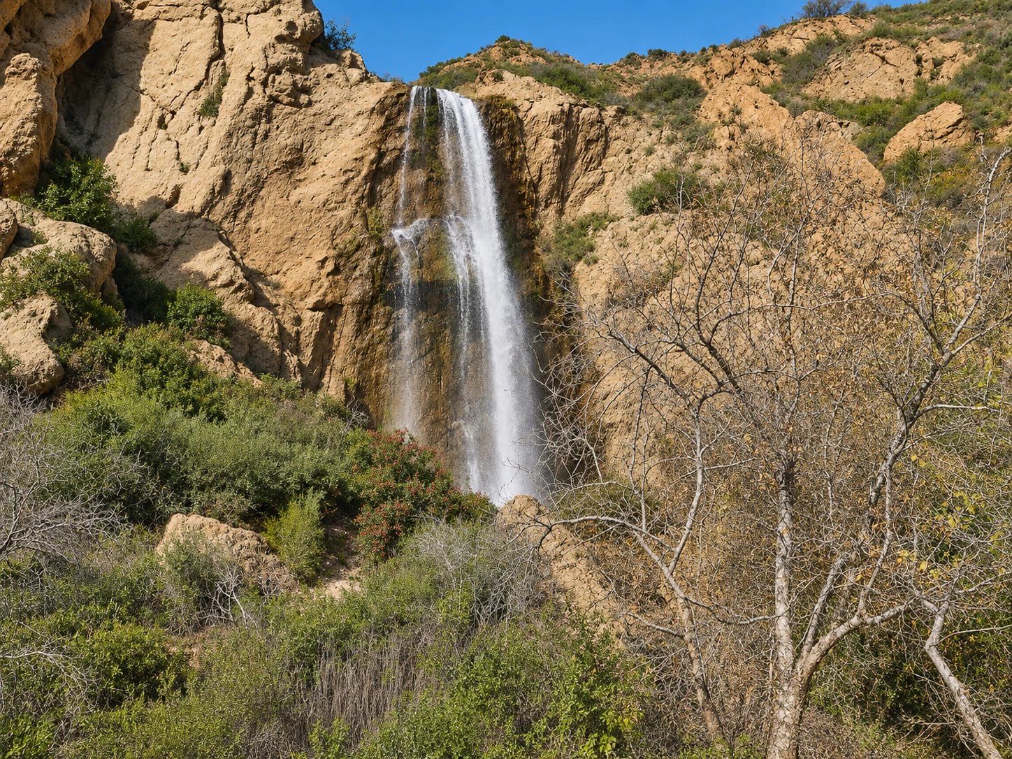 Cover media image