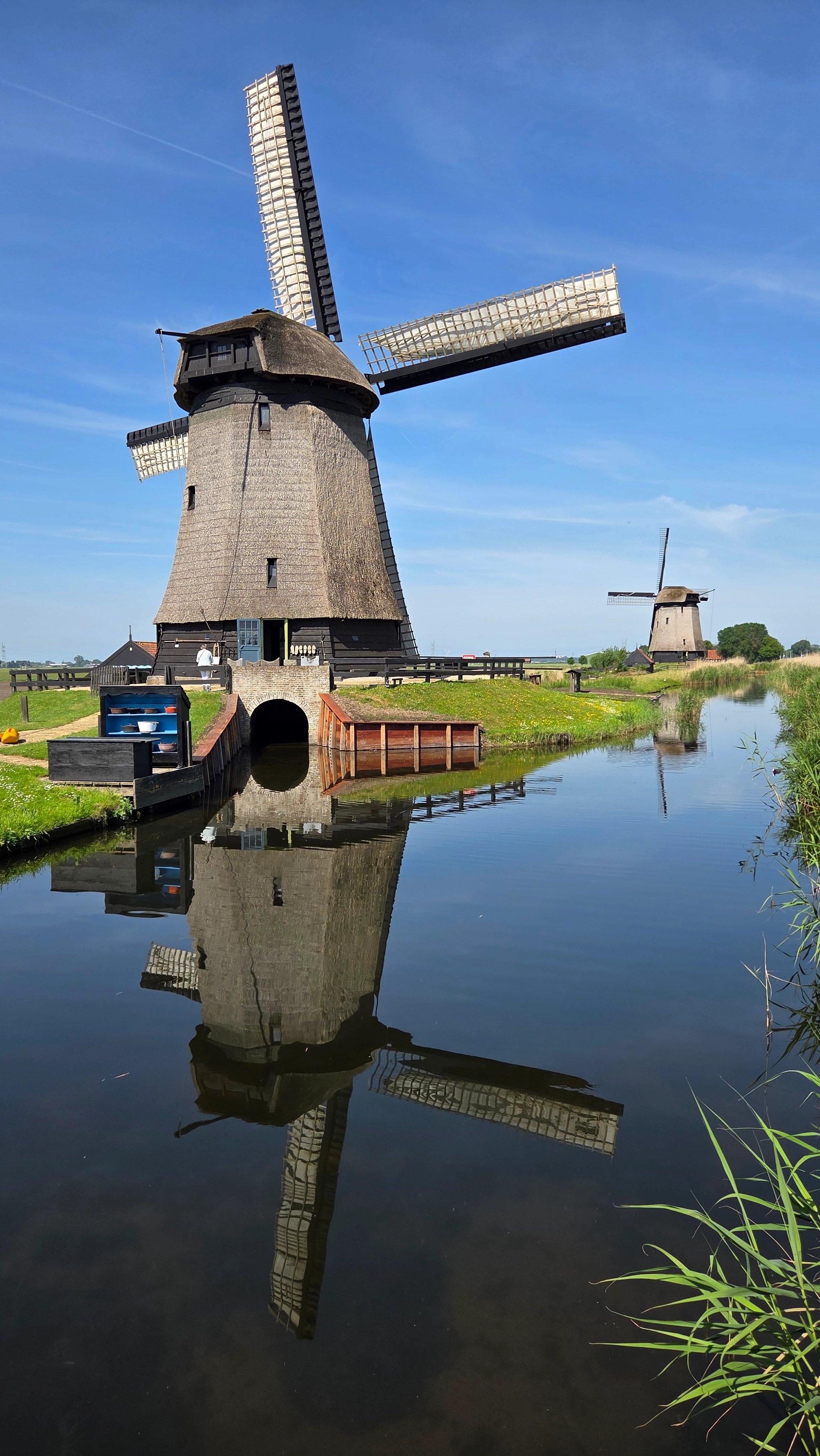 Cover media image