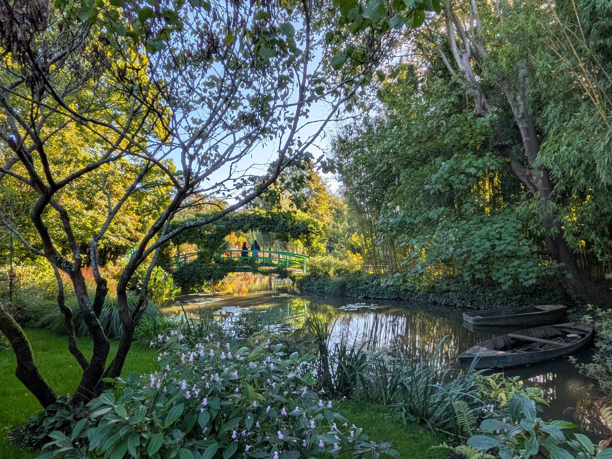 Cover media image
