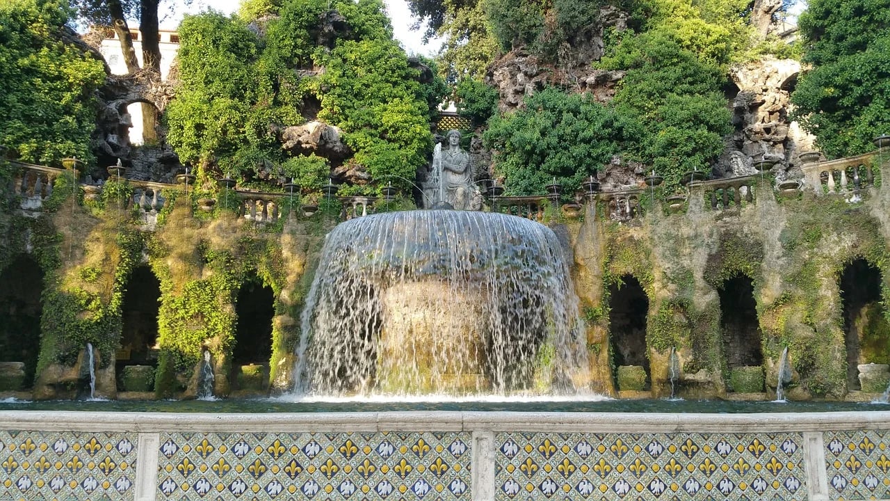 Cover media image