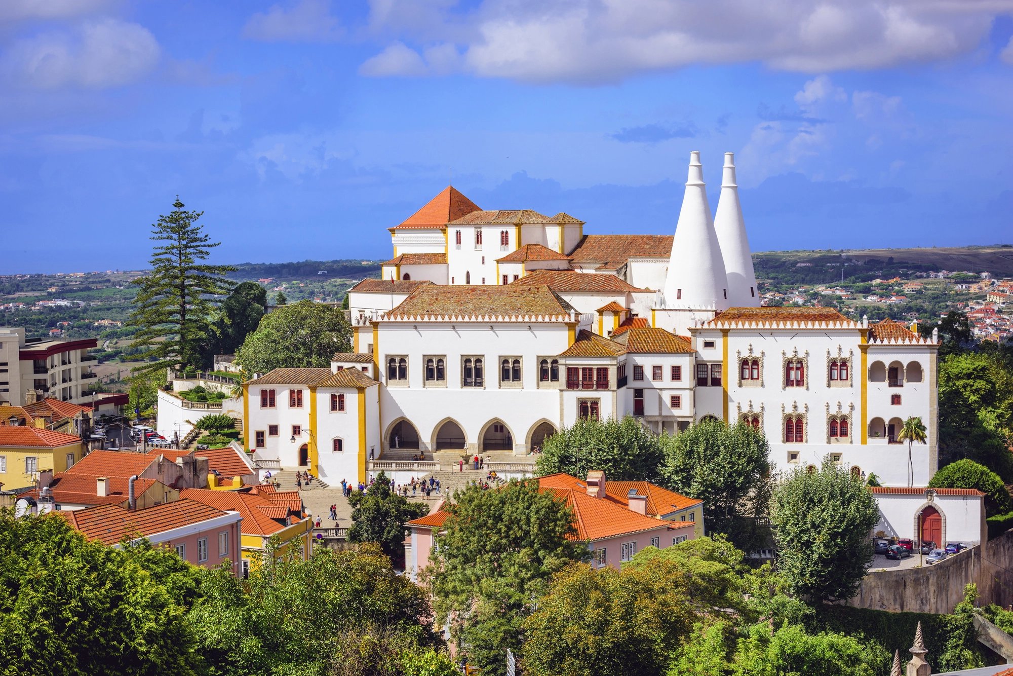 Cover media image