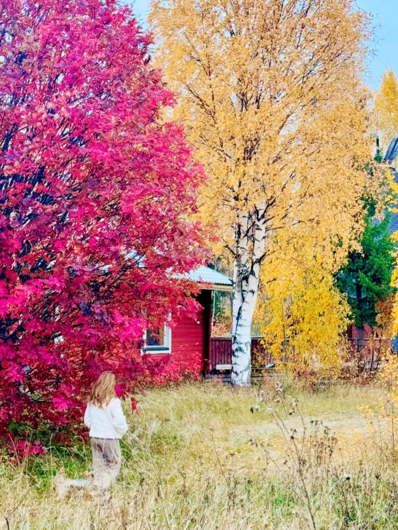 Sheila R.'s gallery