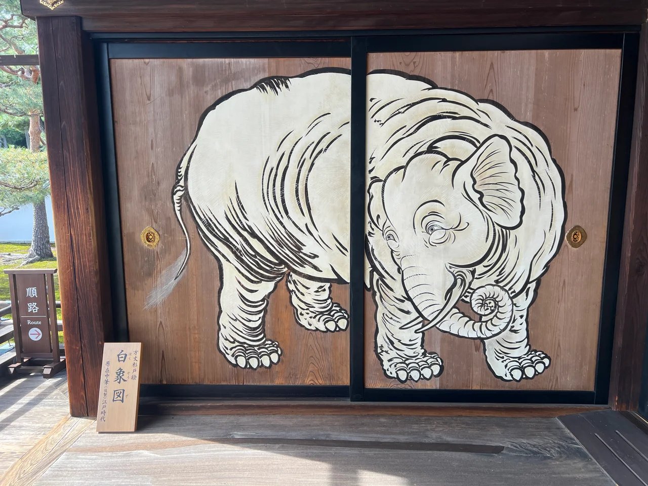 David C.'s gallery