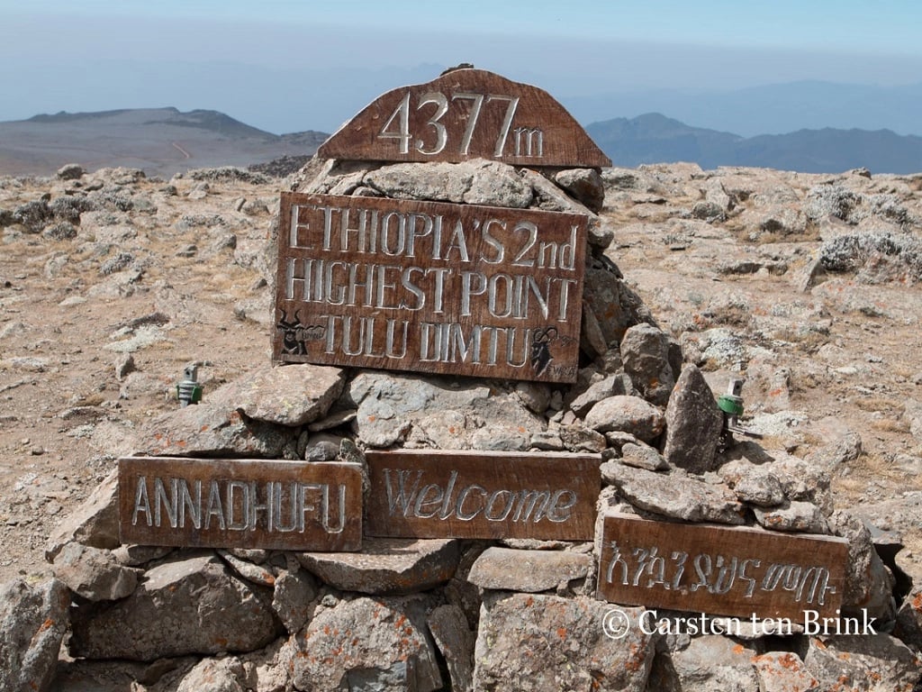 Hailemeskel A.'s gallery