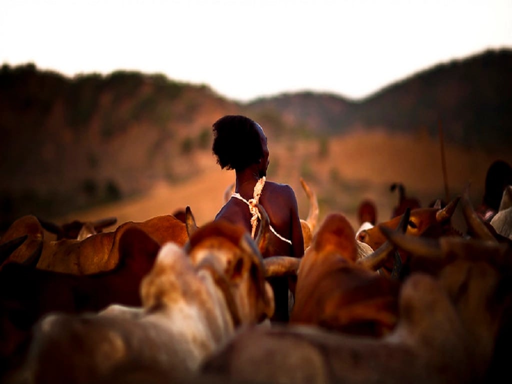 Hailemeskel A.'s gallery