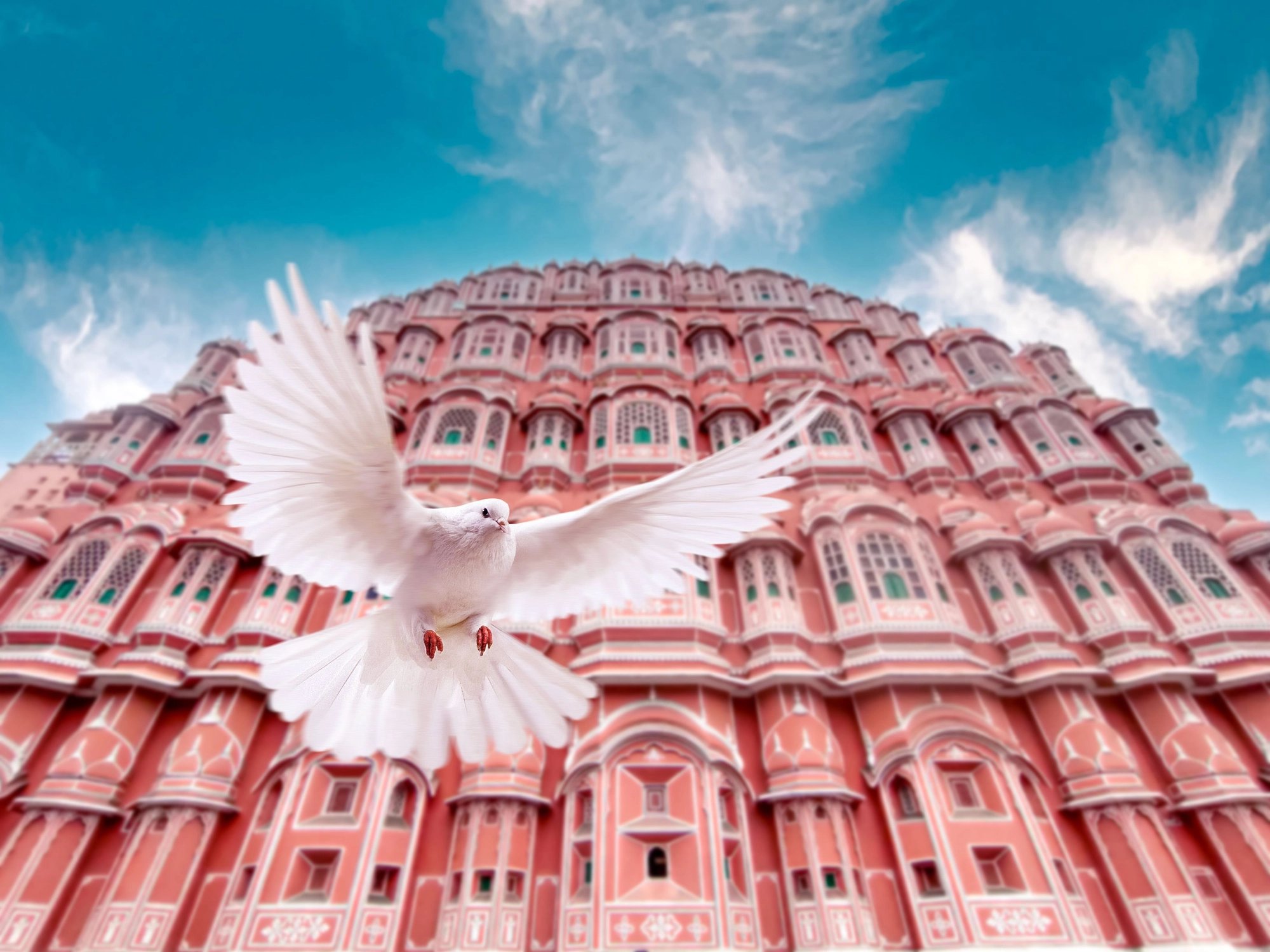 Cover media image