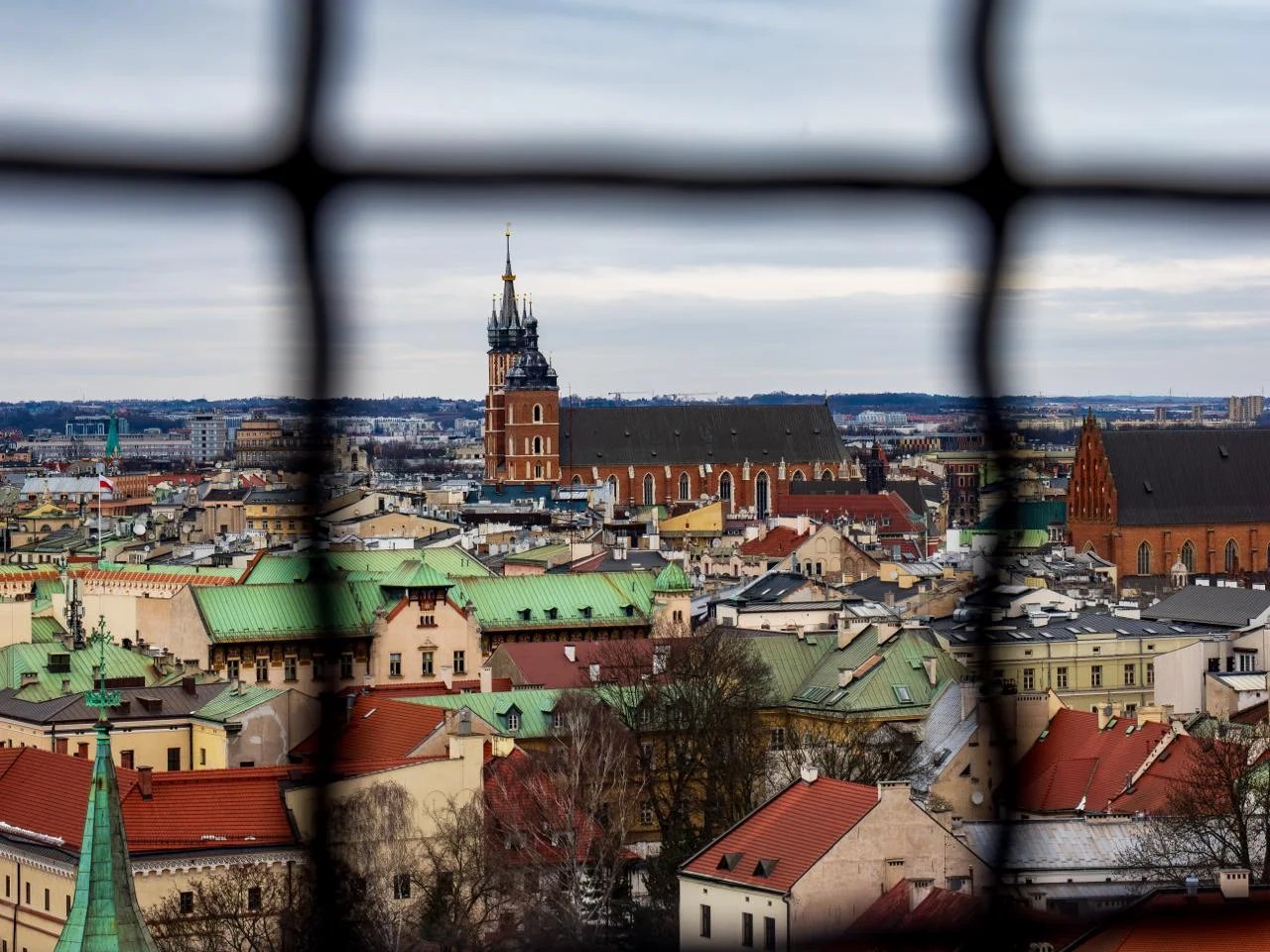 Cover media image