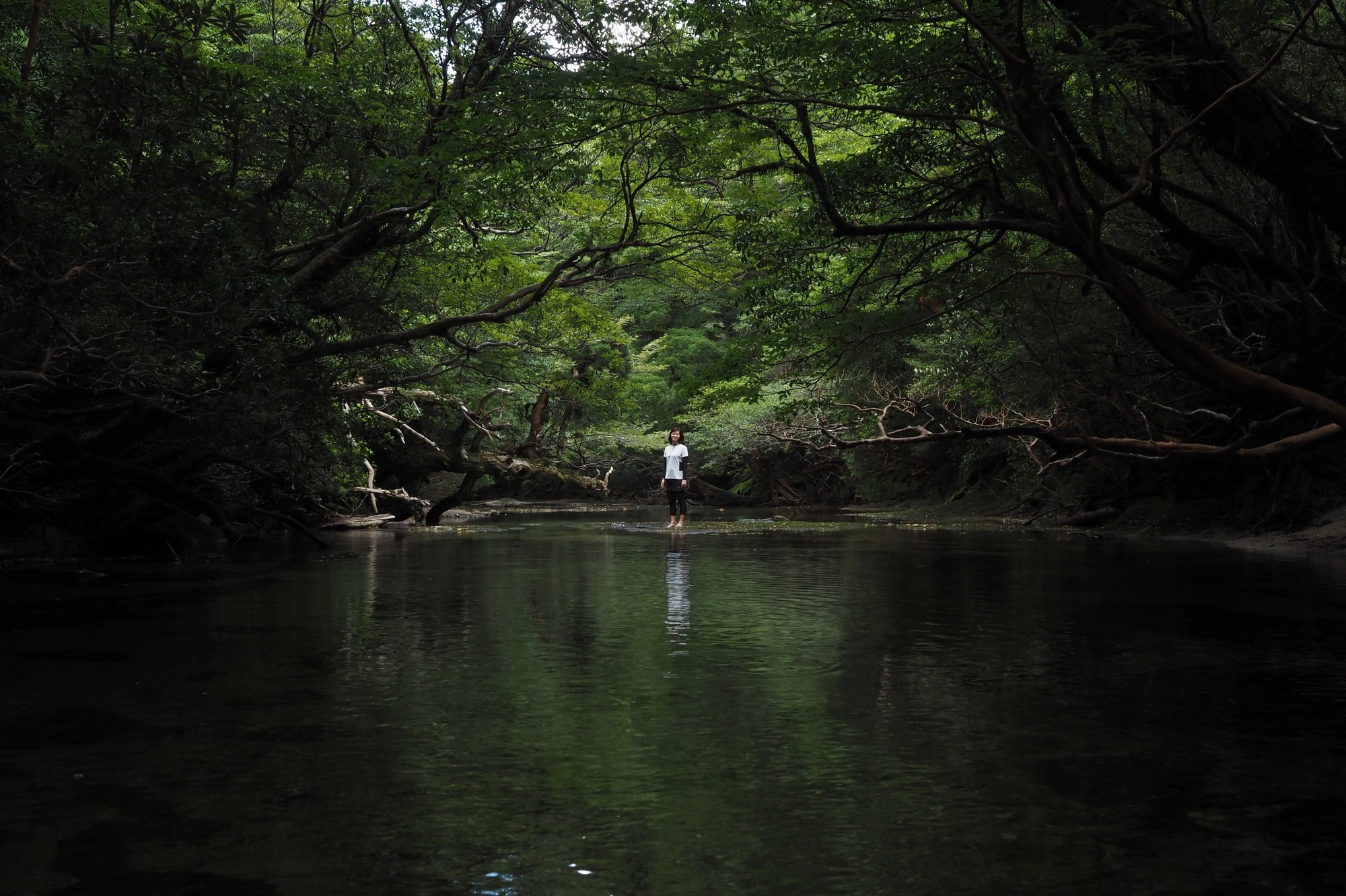 Kadokami T.'s gallery
