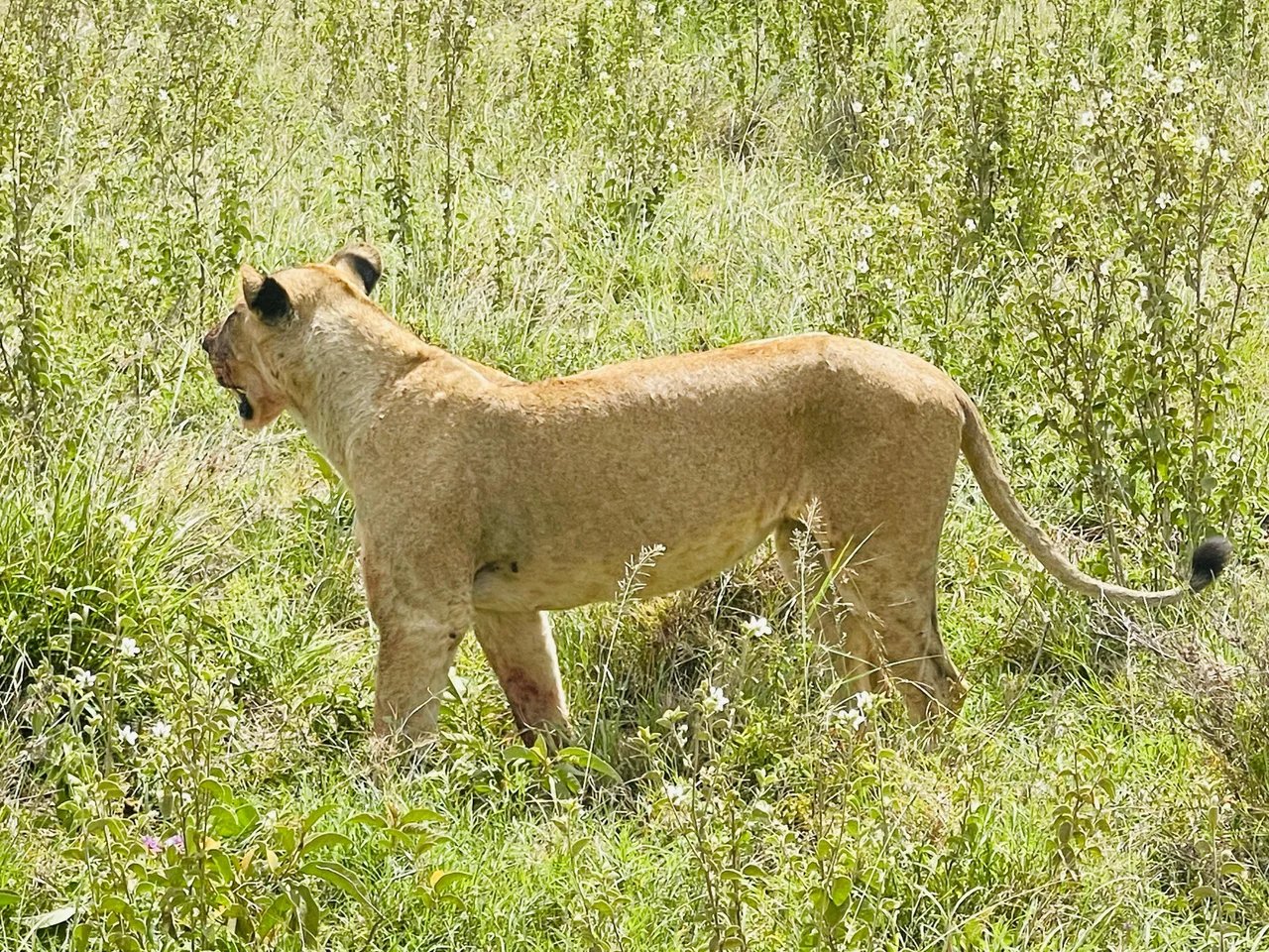 Cover media image