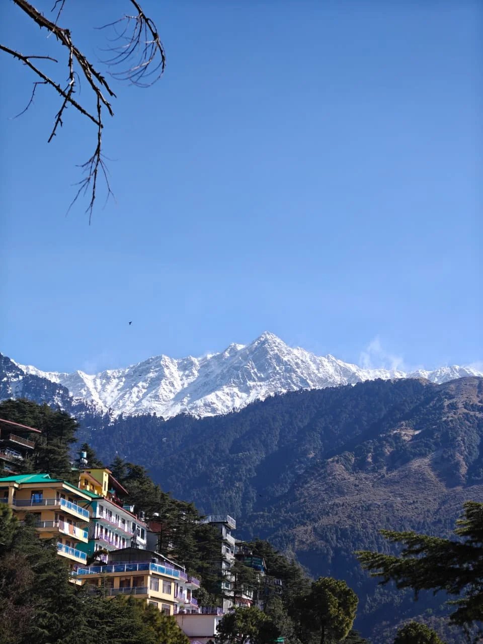 Cover media image