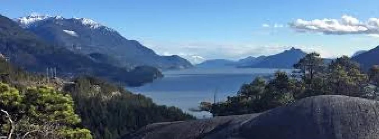 Cover media image