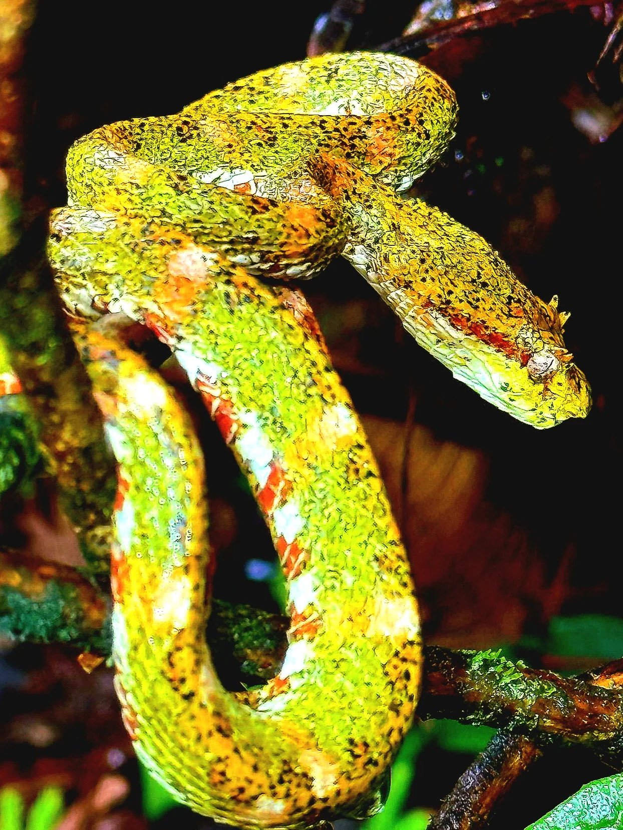 Cover media image
