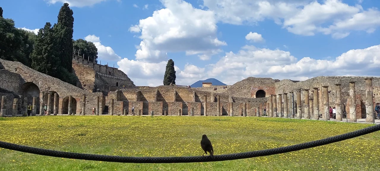 FEDERICA R.'s gallery