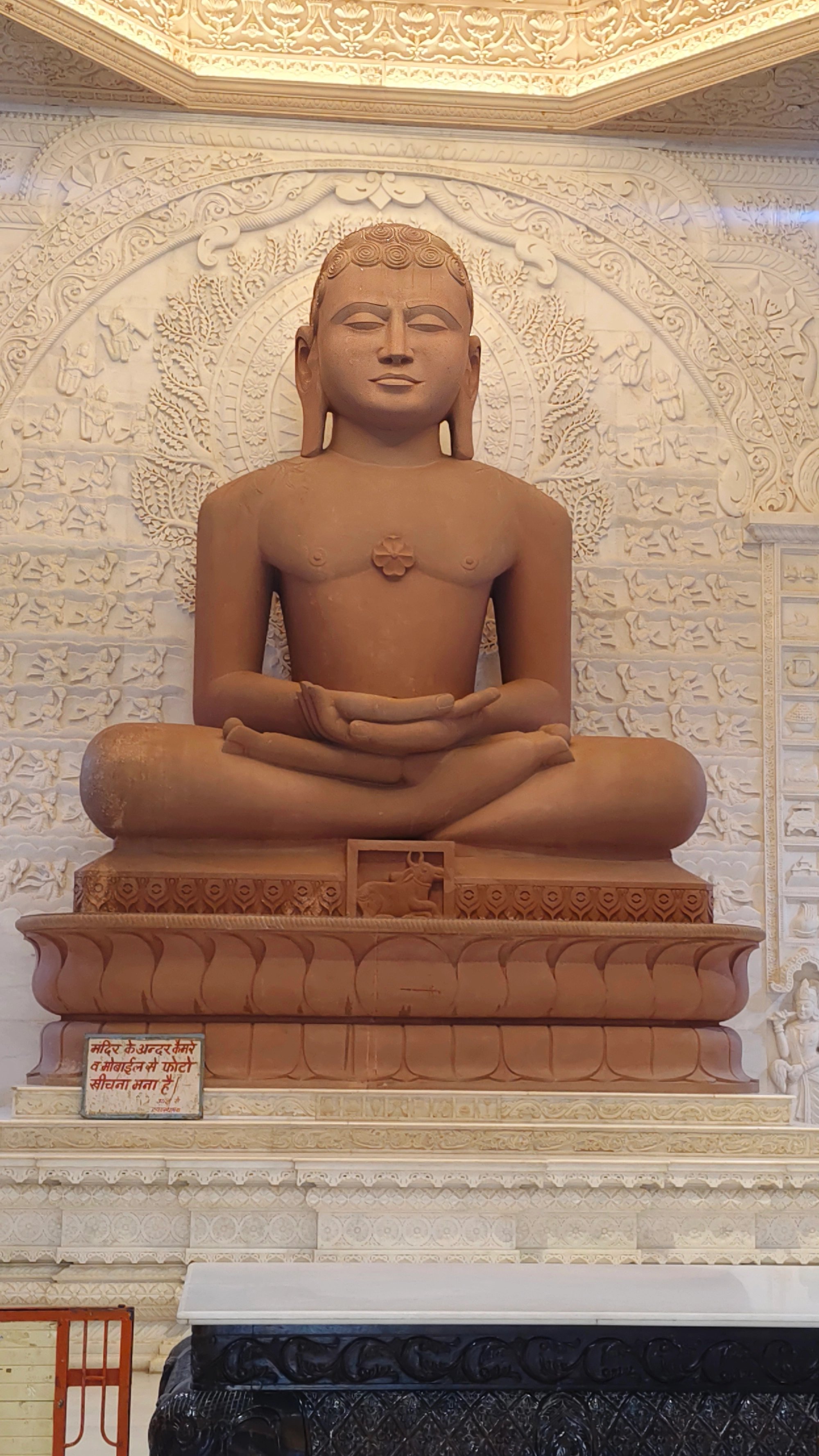 Raj D.'s gallery