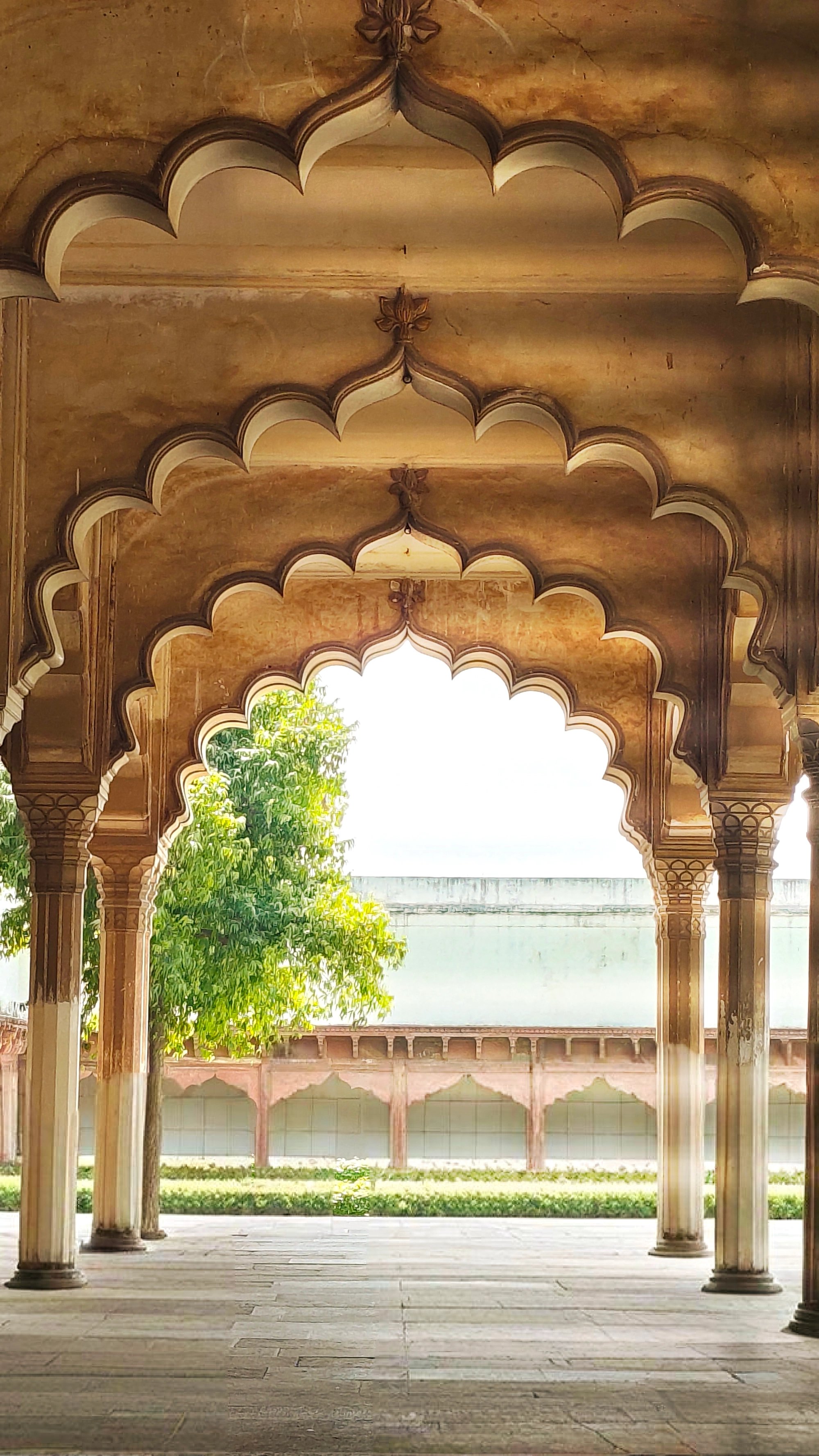 Raj D.'s gallery
