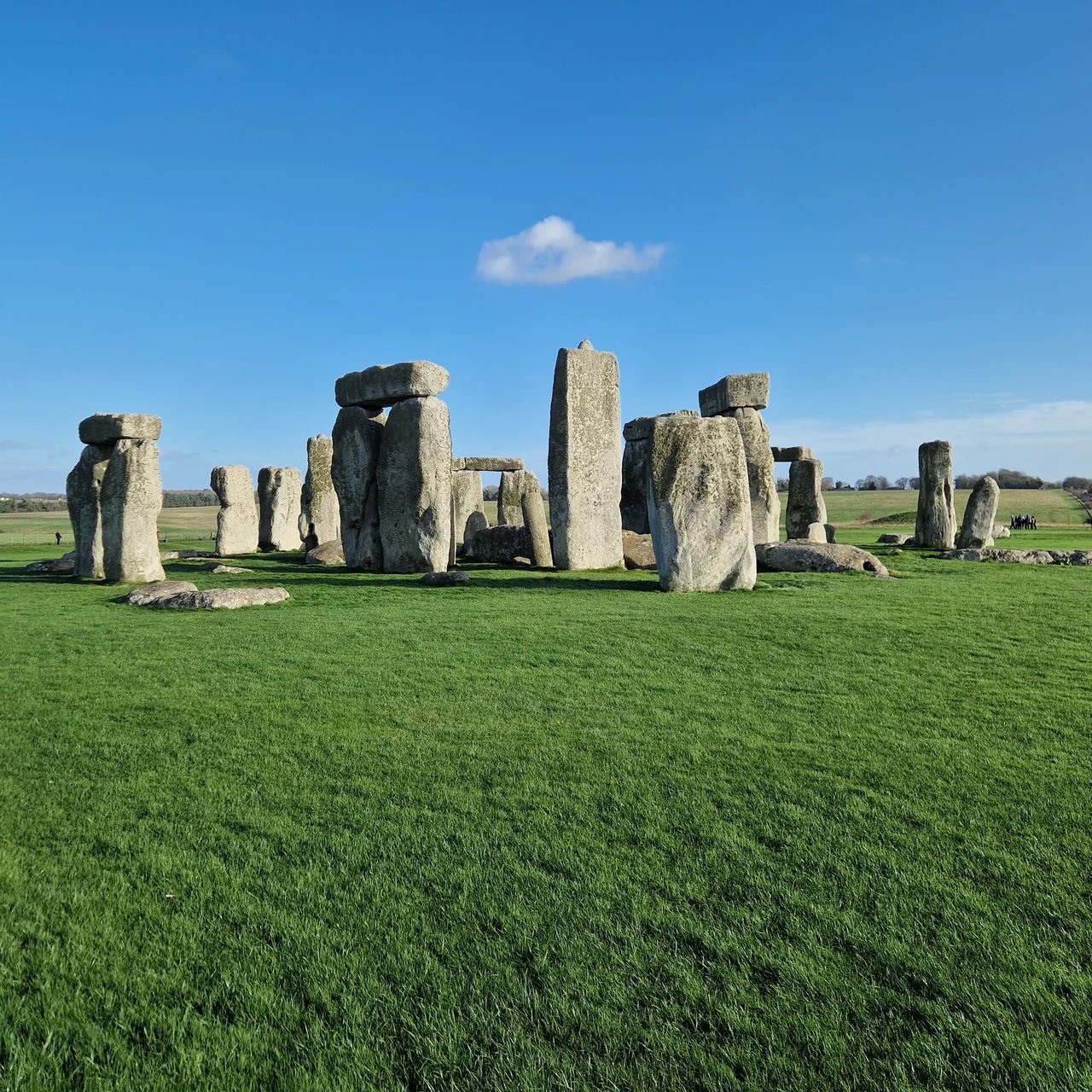Cover media image
