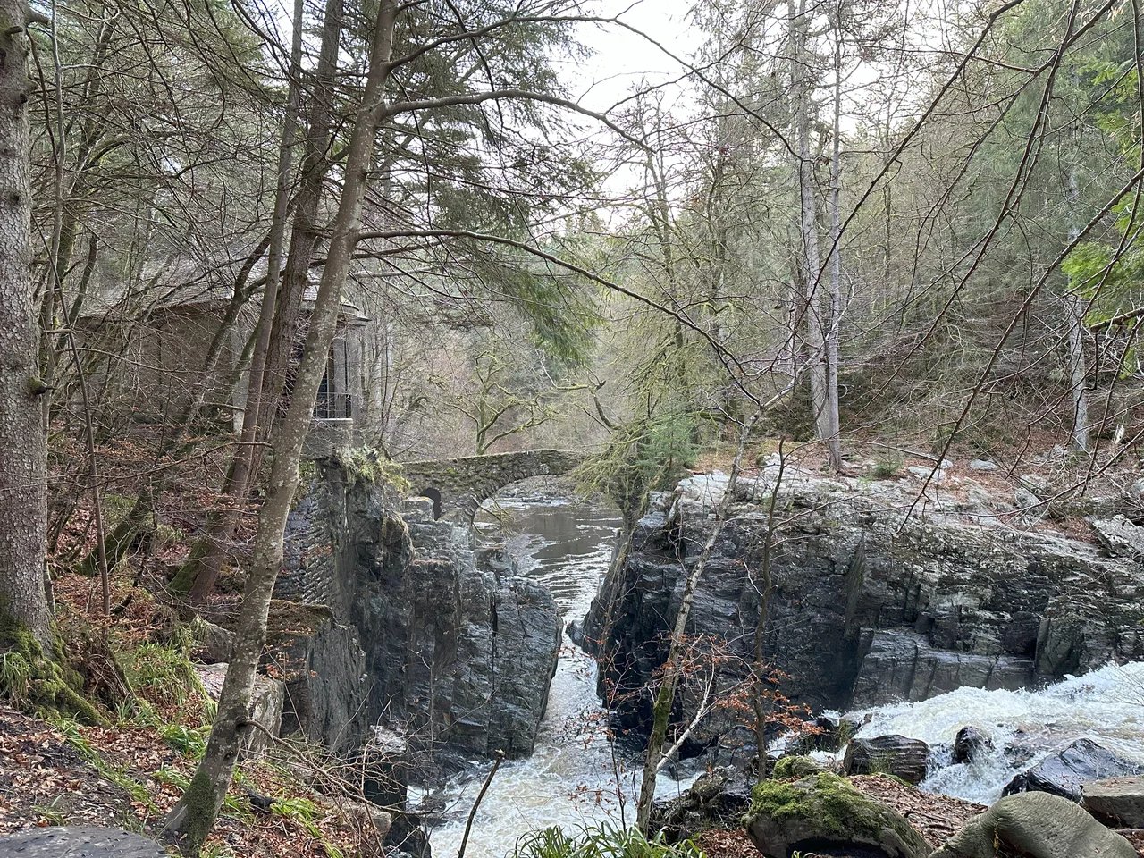 Ross H.'s gallery