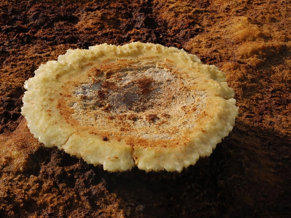 Hailemeskel A.'s gallery