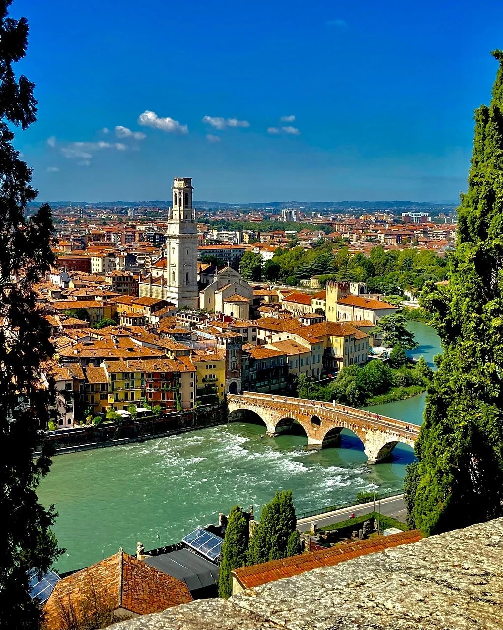 Cover media image