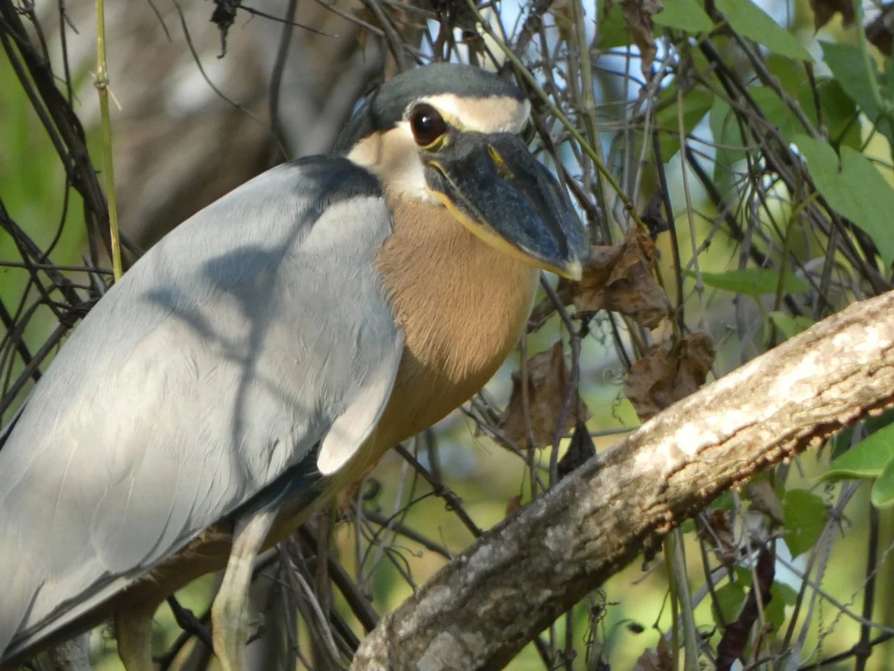 Cover media image