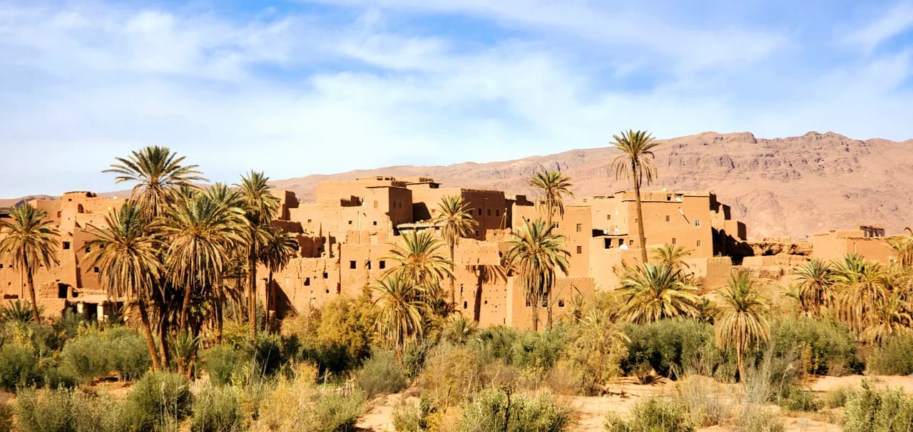 Mohammed A.'s gallery