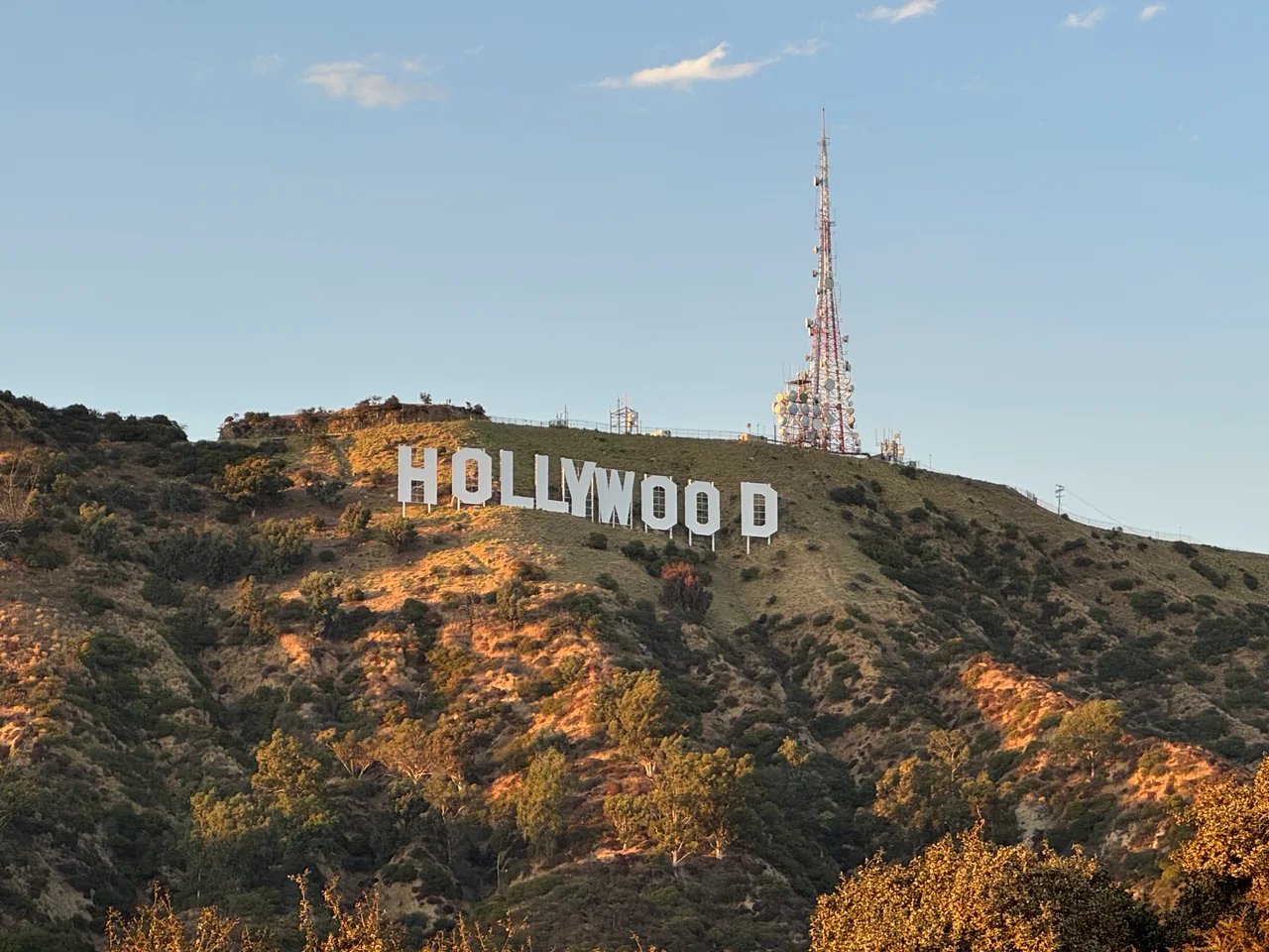 Cover media image
