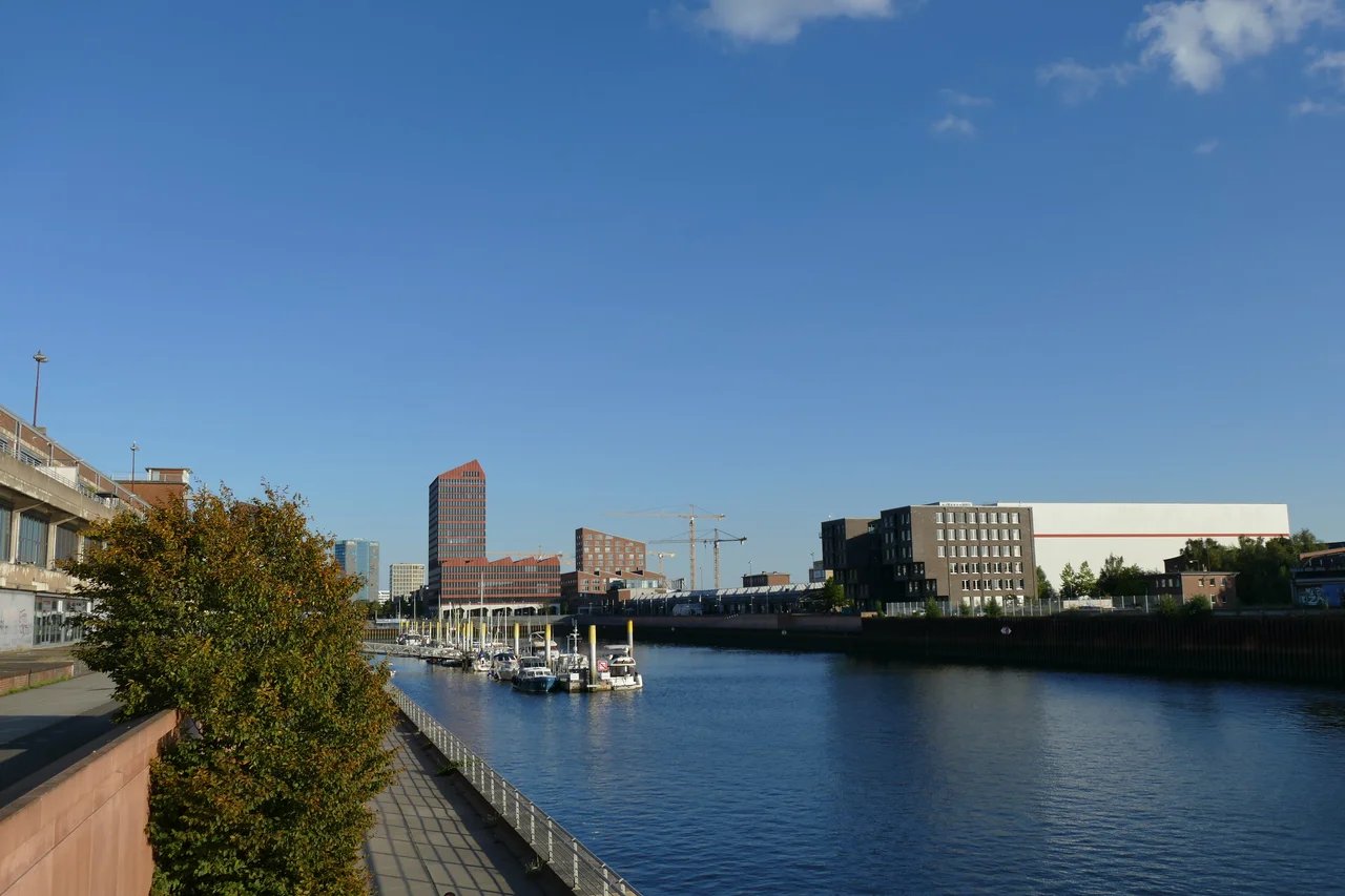 Cover media image