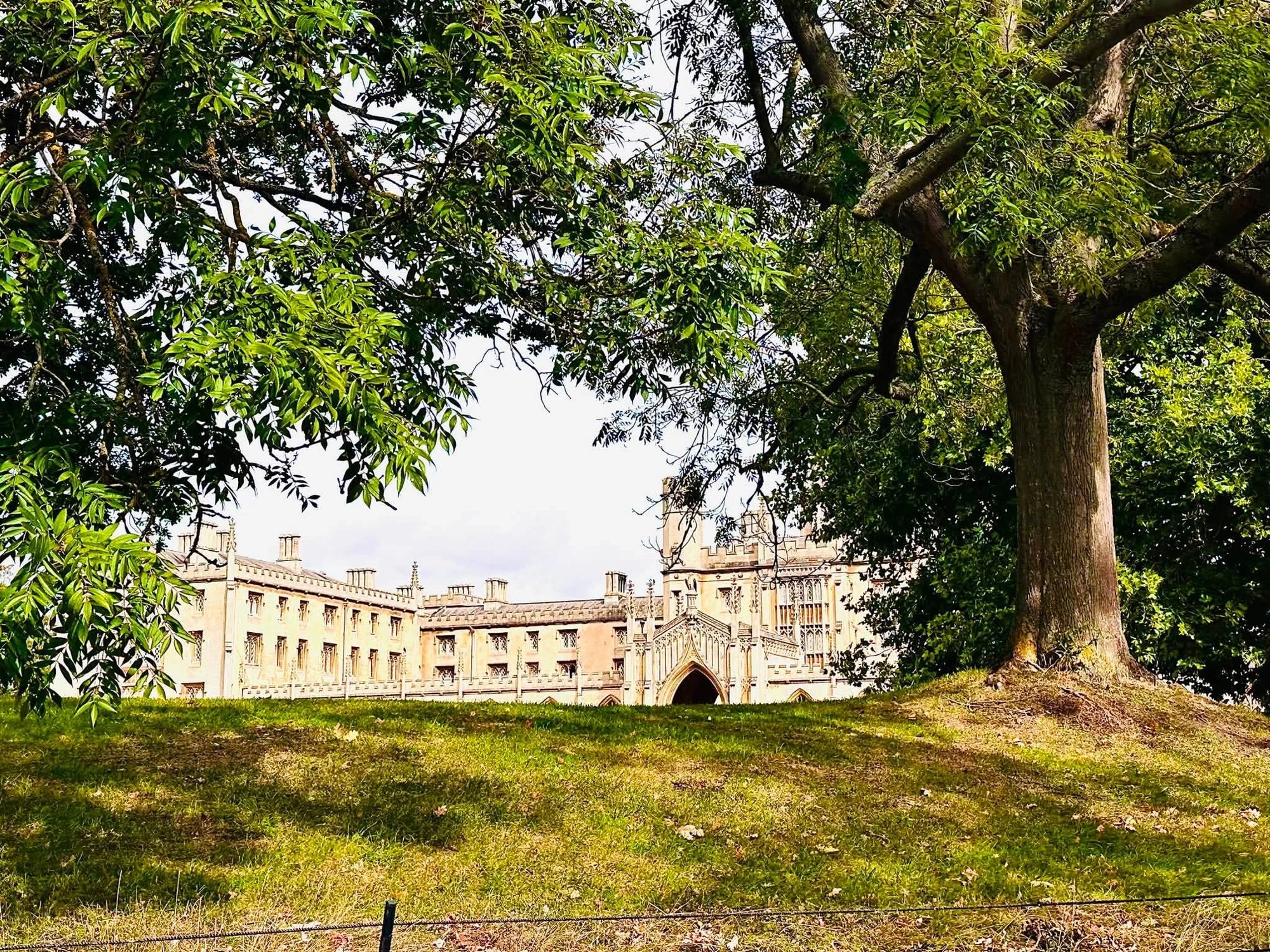 Cover media image