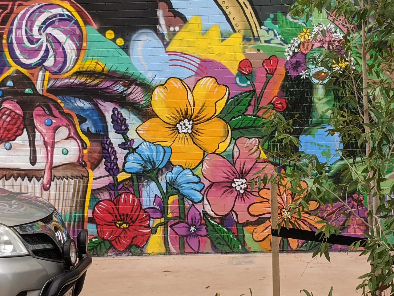 Darrel T.'s gallery