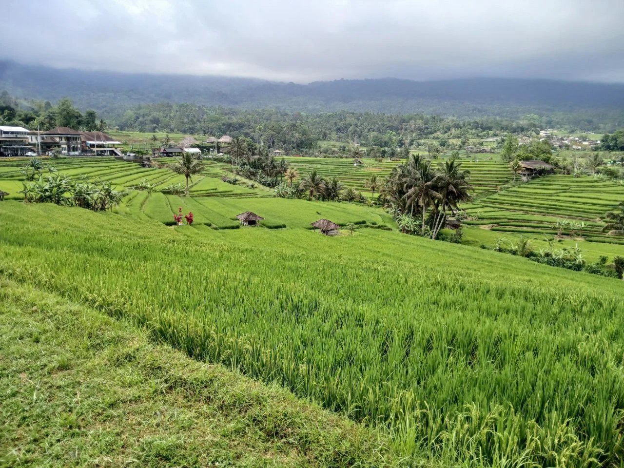 Agung F.'s gallery