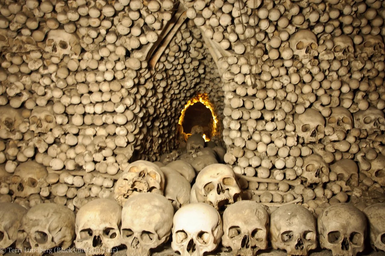 Cover media image