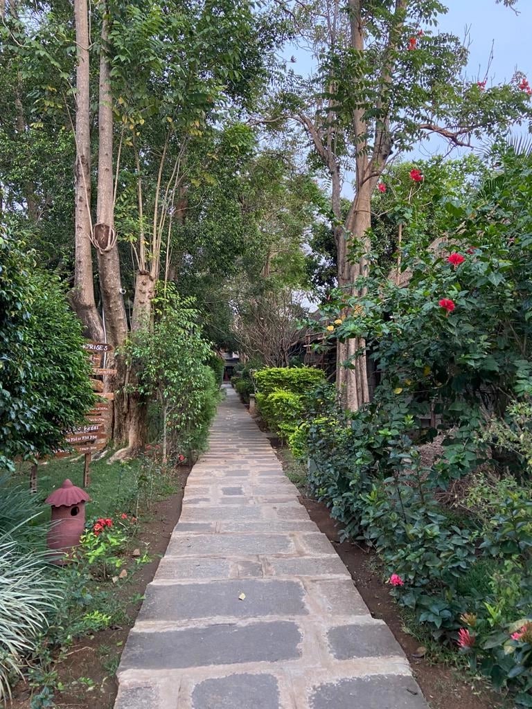 Raj D.'s gallery
