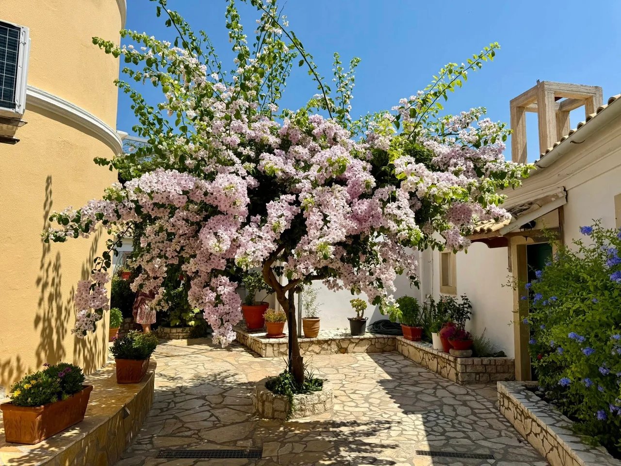 Cover media image