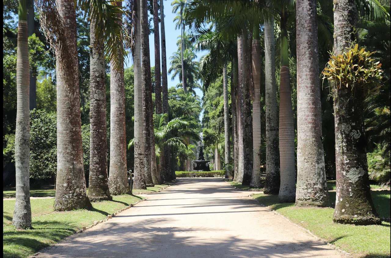 Cover media image