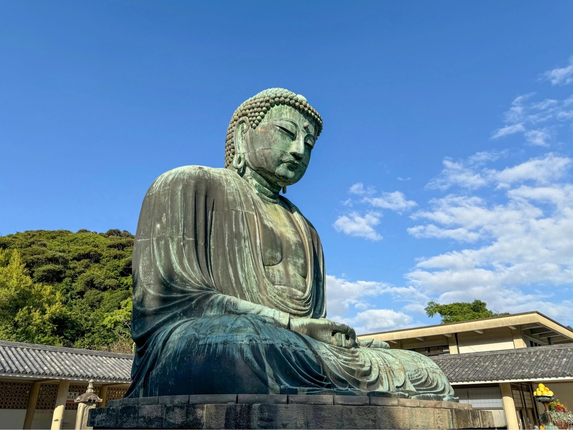 Cover media image