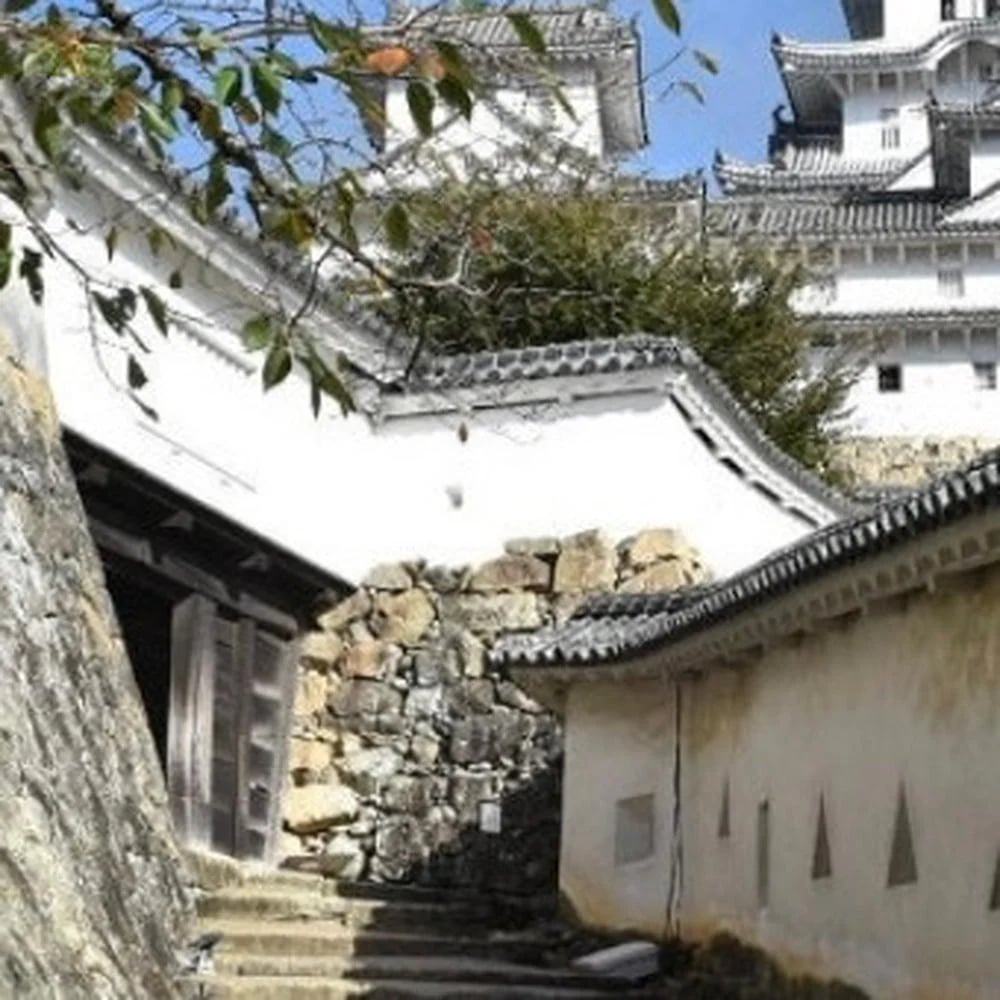 Cover media image