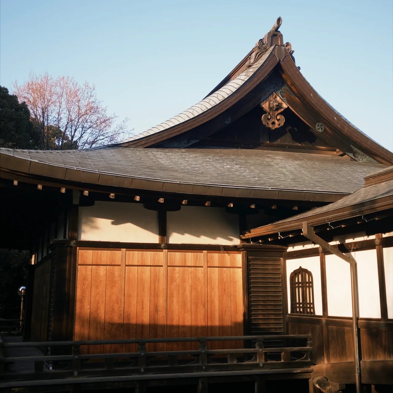 Cover media image