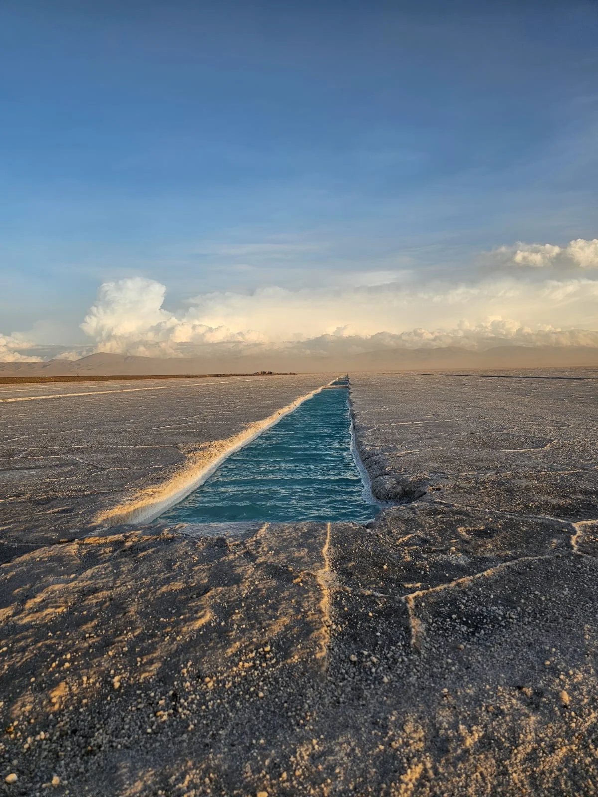 Cover media image