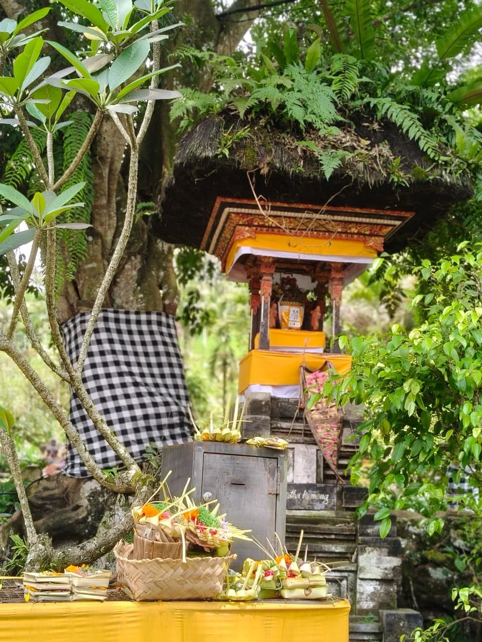 I Wayan S.'s gallery