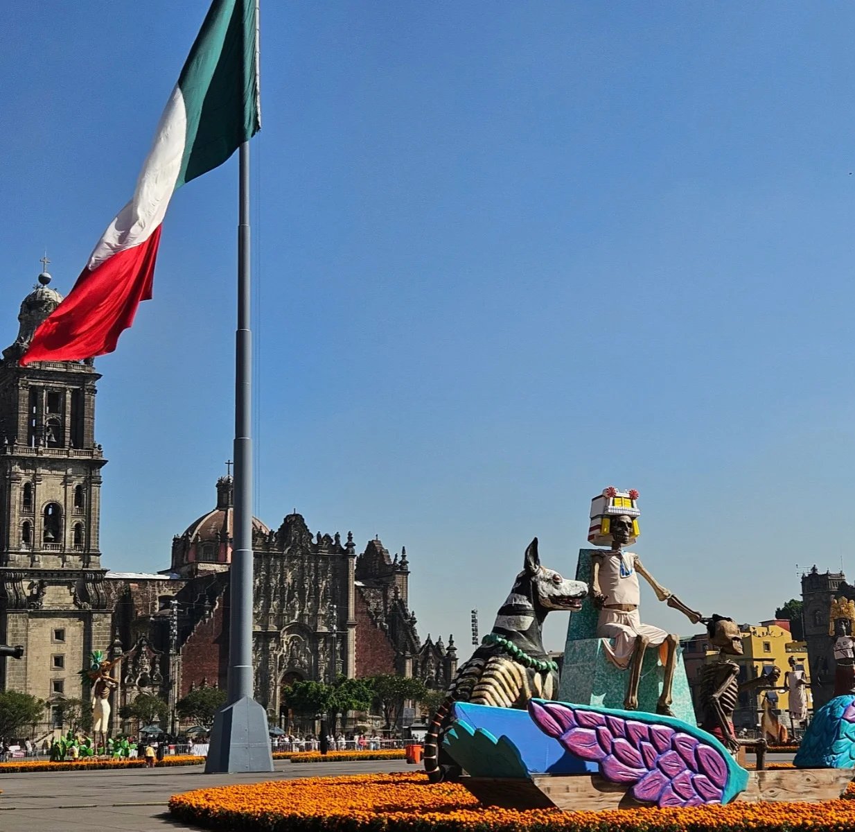 Cover media image