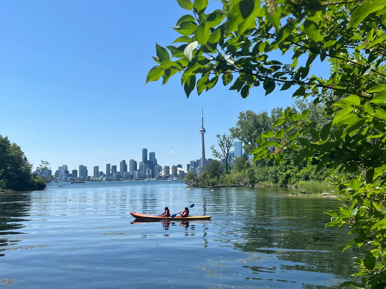 Cover media image