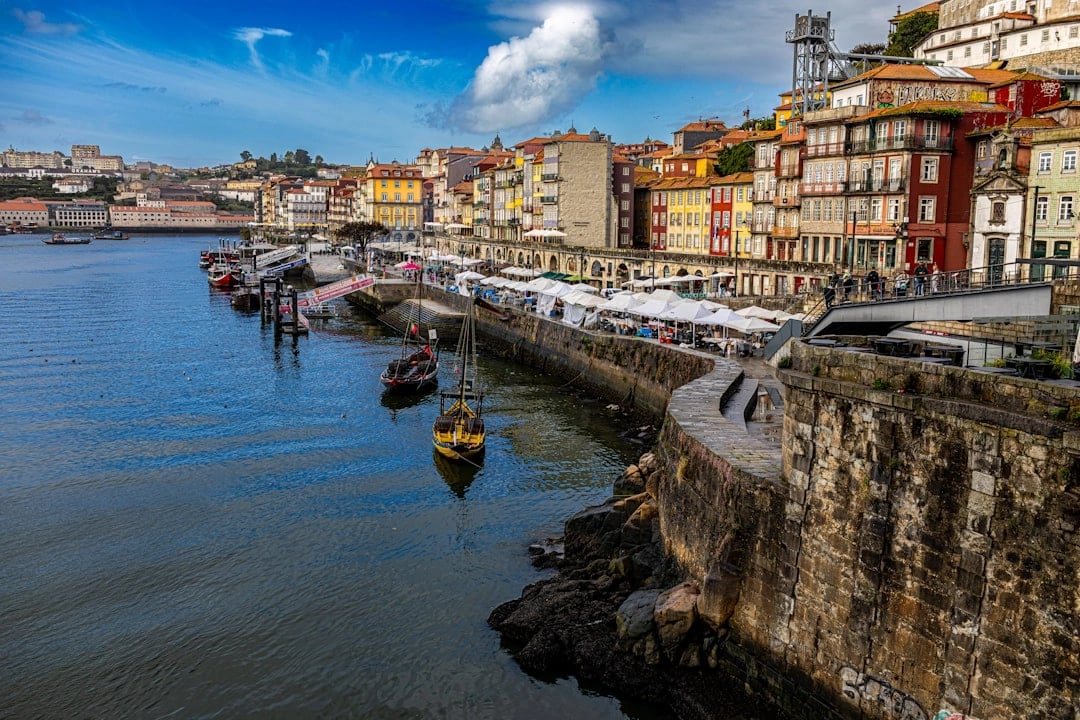 Iconic Porto: Half-Day Private Driving Tour with Panoramic Stops