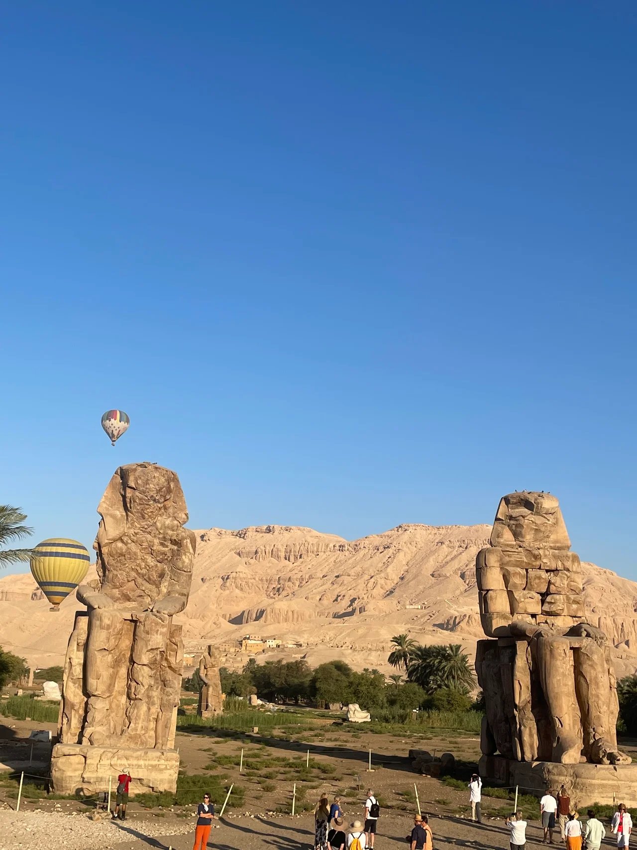 Elsabaa M.'s gallery