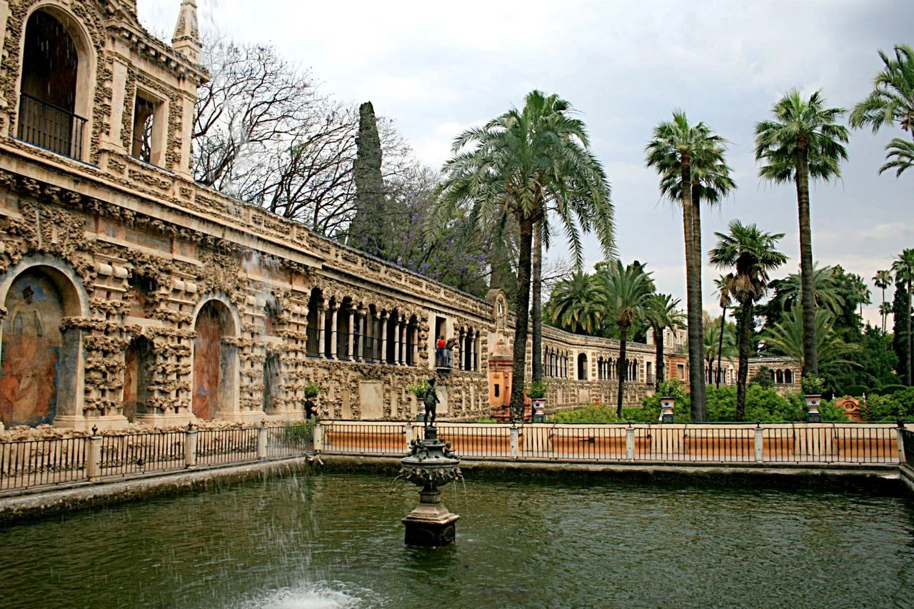 Cover media image