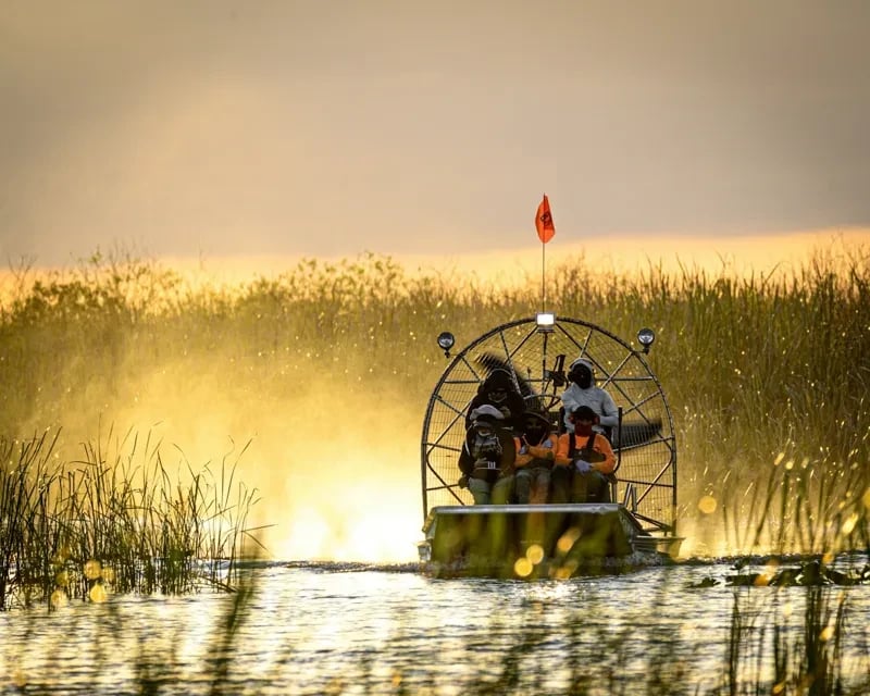 Cover media image