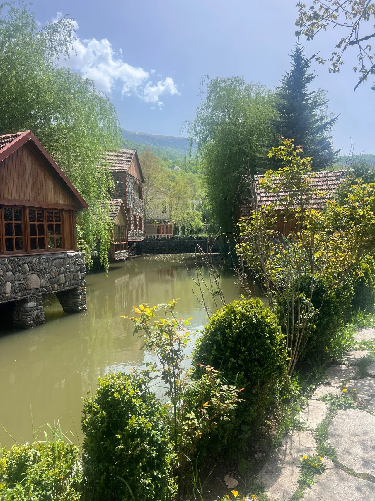 Mihran S.'s gallery